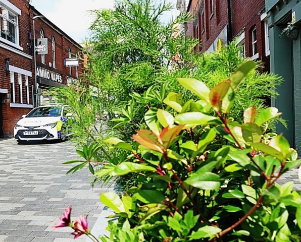 BW. Technical. Urban Jungle. (Medium)