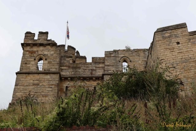 DE_Urban Jungle (Medium)