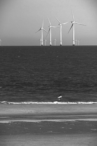 DN Aug Challenge (Medium)