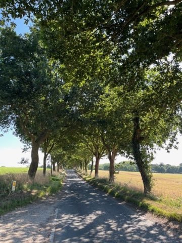 GT_High Noon Road (Medium)