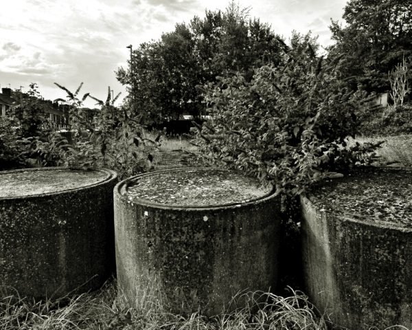 K – Urban Jungle (Medium)