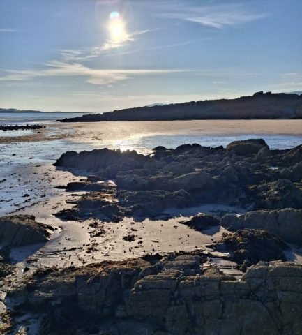 MB Favourite (Medium)