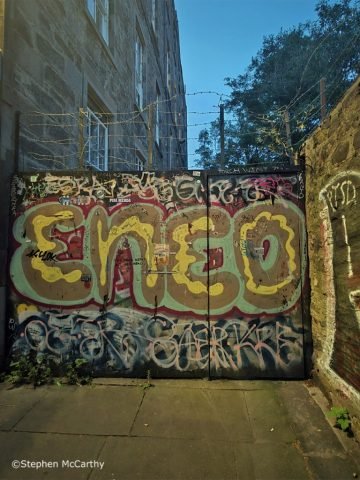 SMc-urban-jungle-edinburgh (Medium)