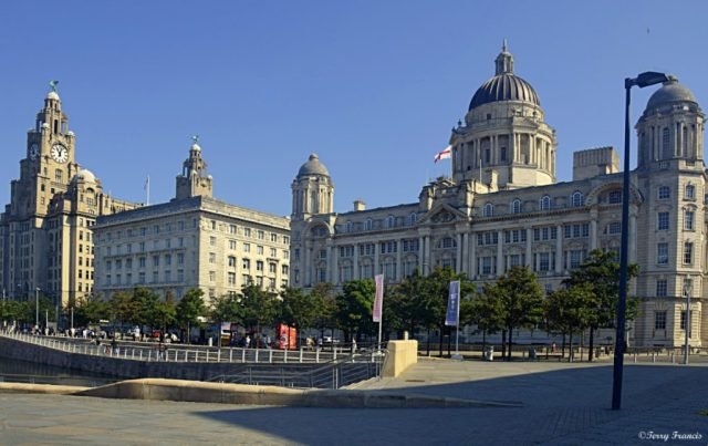 TRF_Liver Building (Medium)