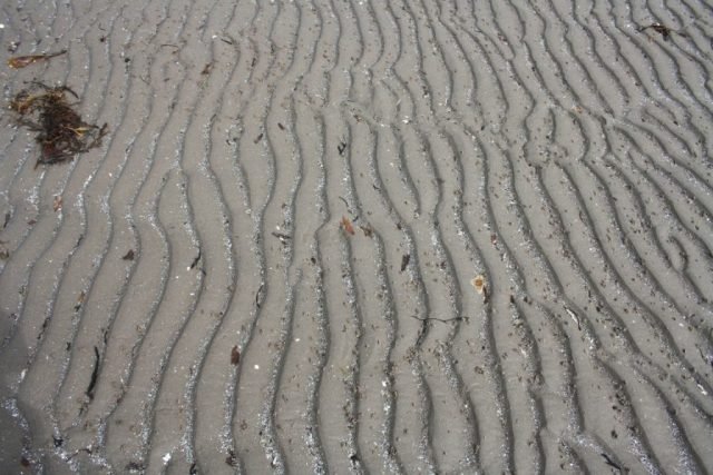 DB_IMG_6605 – Copy (Medium)