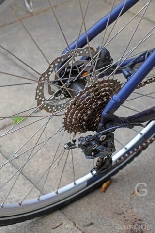 Favourite_Bicyclism_G (Medium)