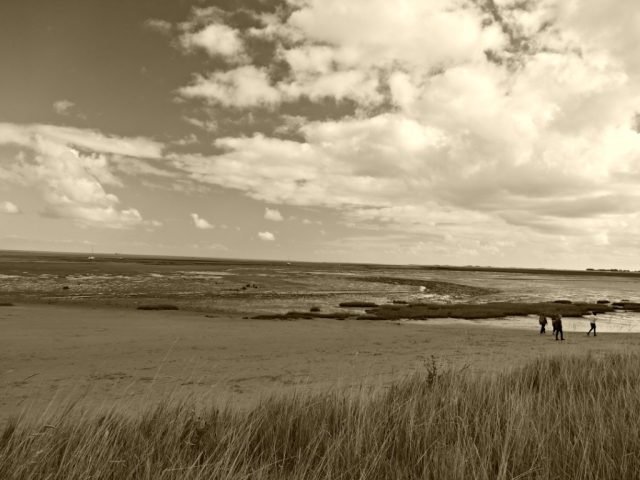 September Favourite. Cleethorpes Fitties Beach. S. (Medium)