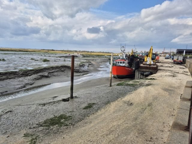 TRF_Leigh Creek on mud (Medium)