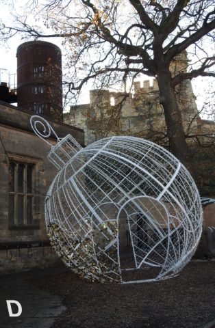 D. Favourite (Medium)