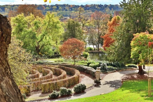 F. Fav . Autumn Park. MC (Medium)