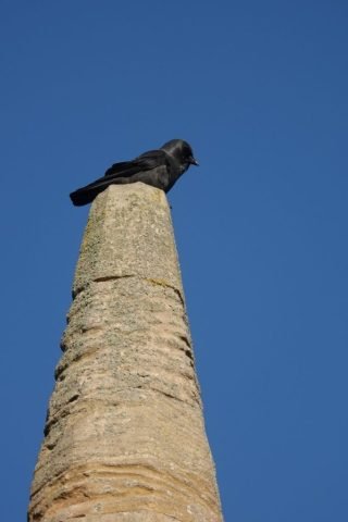 G-Favourite (Medium)