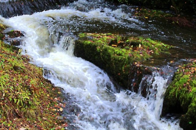 GMT Movement Mountain River (Medium)