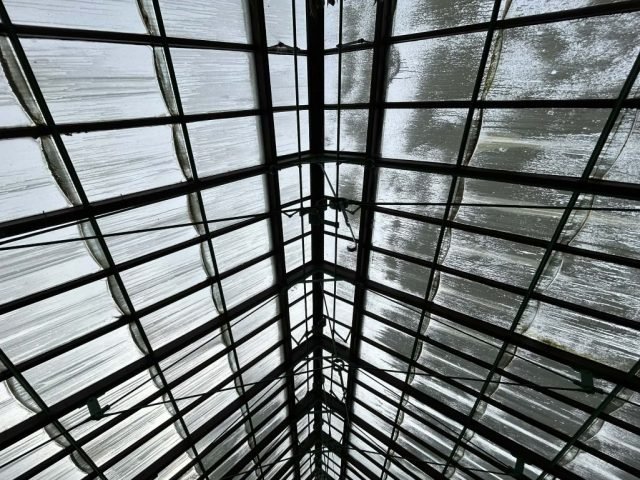 J Glass Roof (Favourite) (Medium)