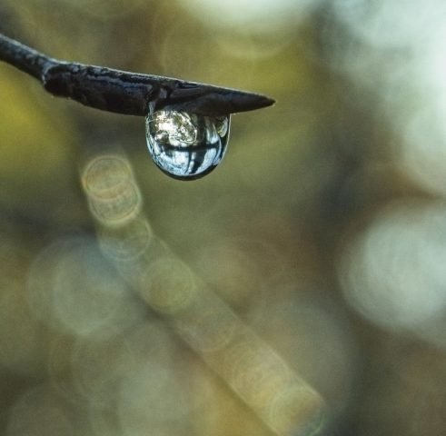 K – Favourite – Waiting to drop (Medium)