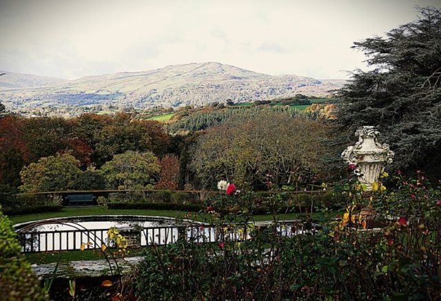 S. Favourite – Bodnant Garden, N. Wales. (Medium)