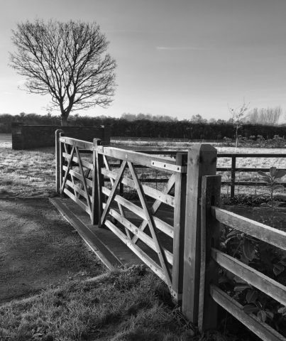 Technical_Gate_LA (Medium)