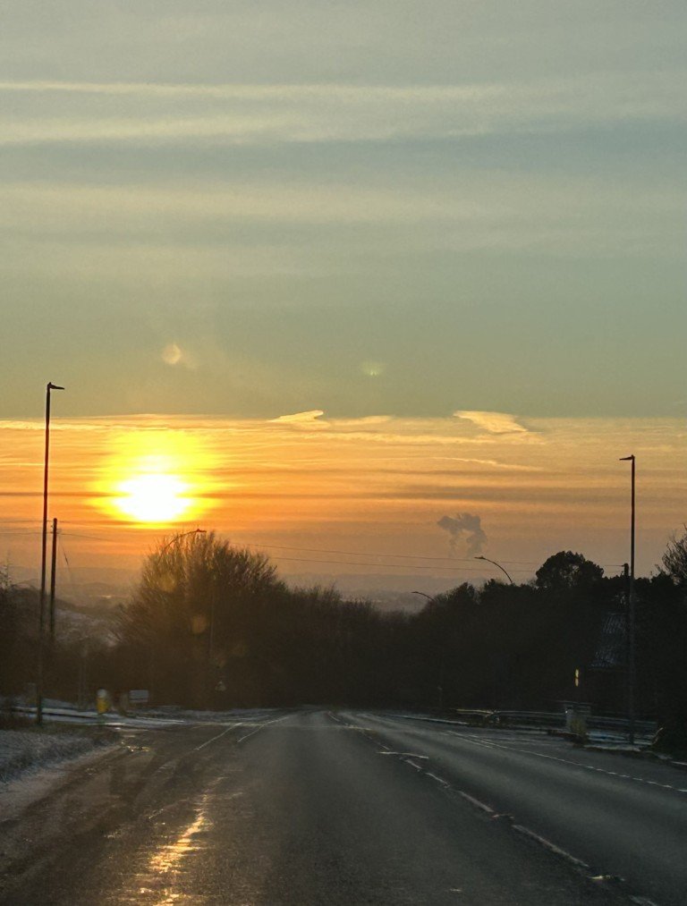 CN_FAV_Downhill_Jan (Medium)