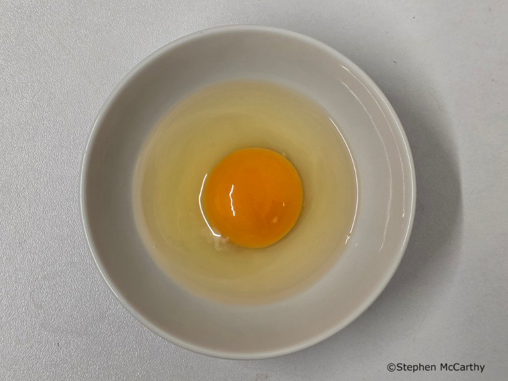 L-Centre-Egg-SMc-Medium