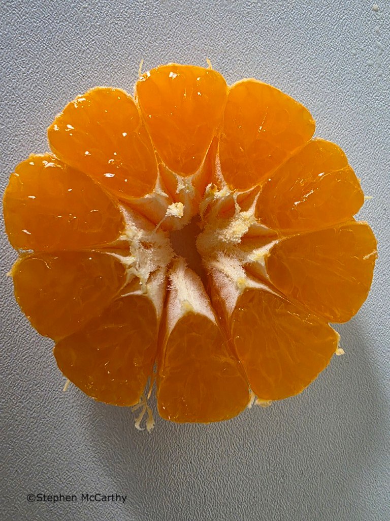 L-Fav-Orange-SMc-Medium