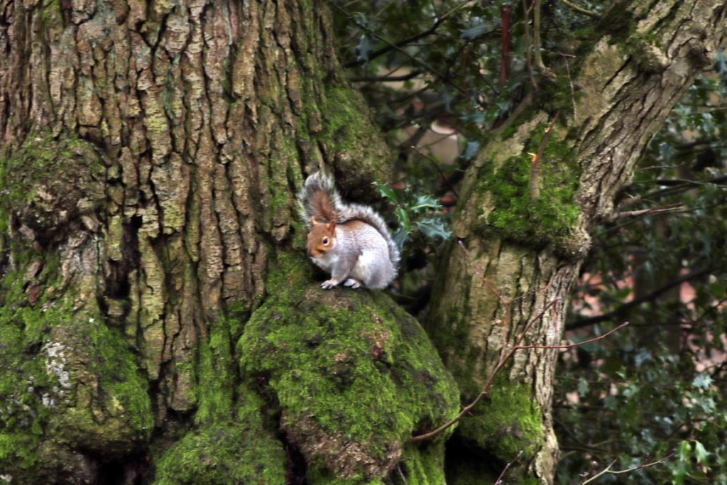 MC-Fav-CoolDude-Medium-1024x683