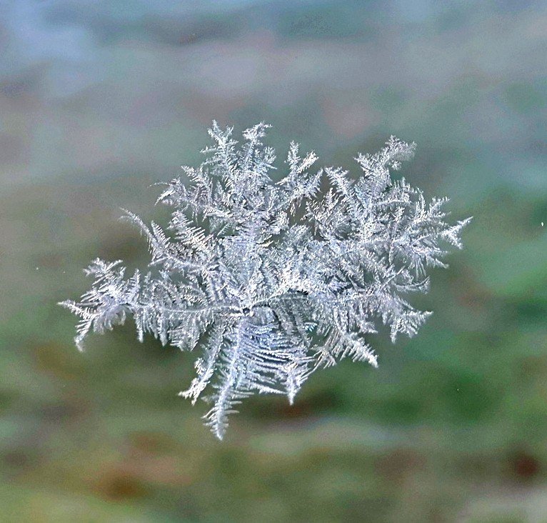 P-CS-snowflake-on-window-pane-Medium