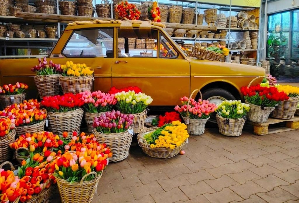 T-ND-Garden-Centre-Medium-1024x696