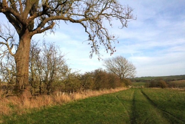 AD-Spring Approaches (Medium)