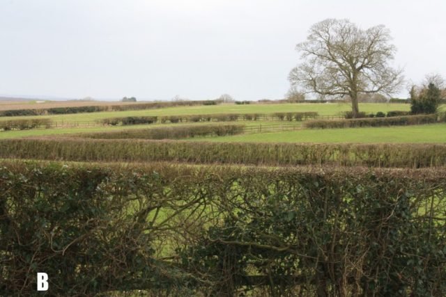 B-Boundaries_DB (Medium)