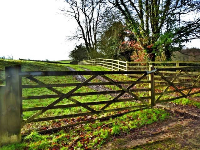 D Boundary fences (Medium)