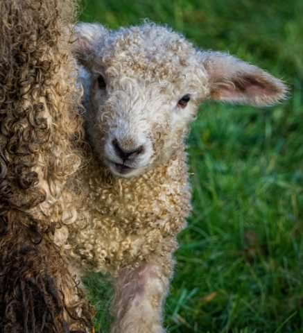 Favourite – Oh hello – MK