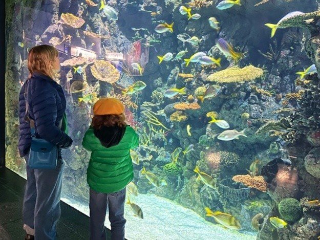 GT_Boundaries (Medium)