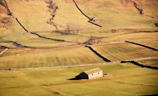 GeoffT_Boundaries (Medium)