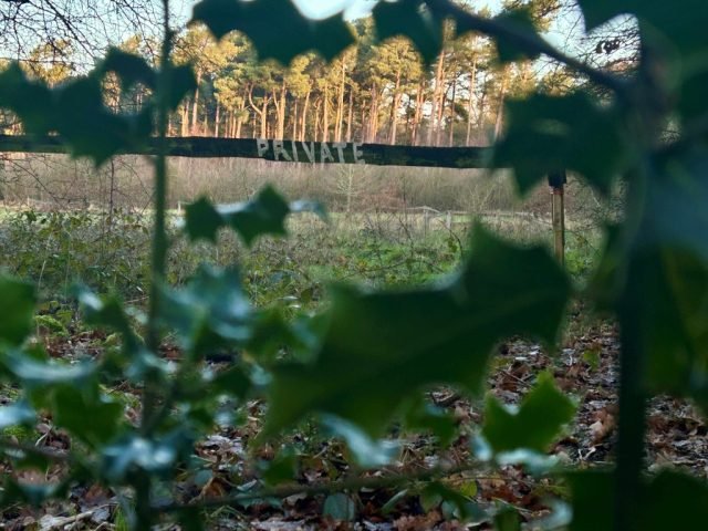 N-CN-Borders-Edge of Entry-Feb (Medium)