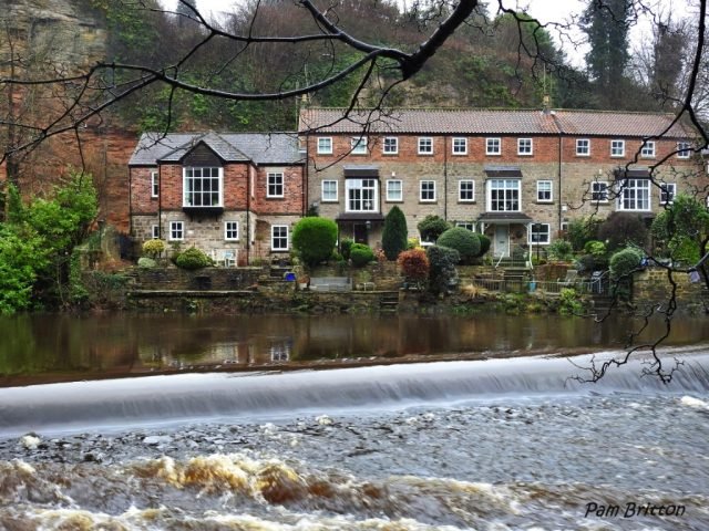 PB Favourite (Medium)