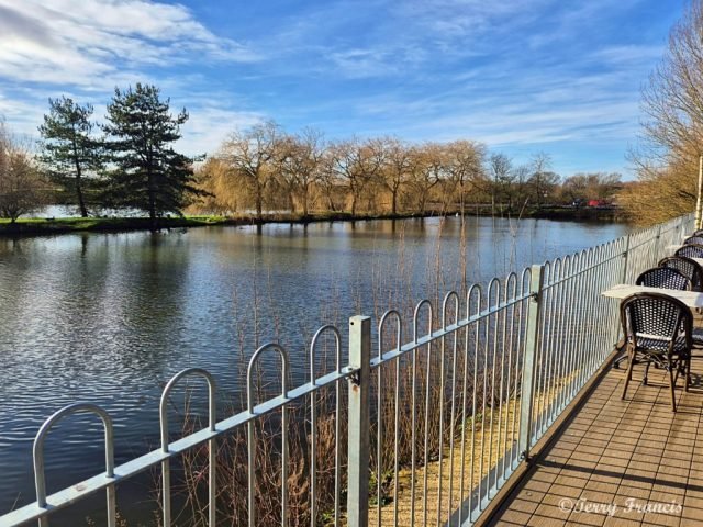 TRF-Fav_Whisby (Medium)