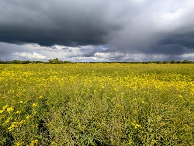 M_Stormy Sky from Top Farm. (Medium)