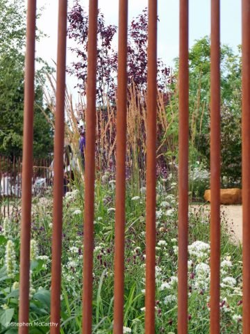 L-hidden-beauty-garden-through-bars-SMc (Medium)