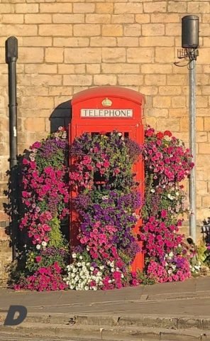 D. Summer Telephone kiosk (Medium)