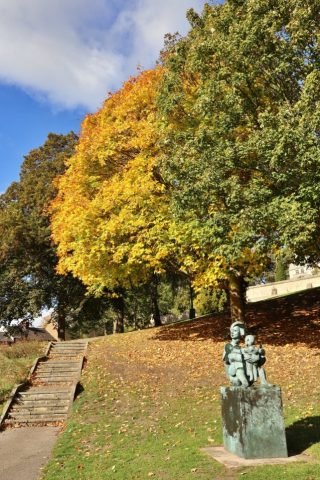 F – Challenge – Autumn (Medium)
