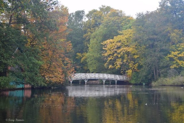 H_The White Bridge (Medium)