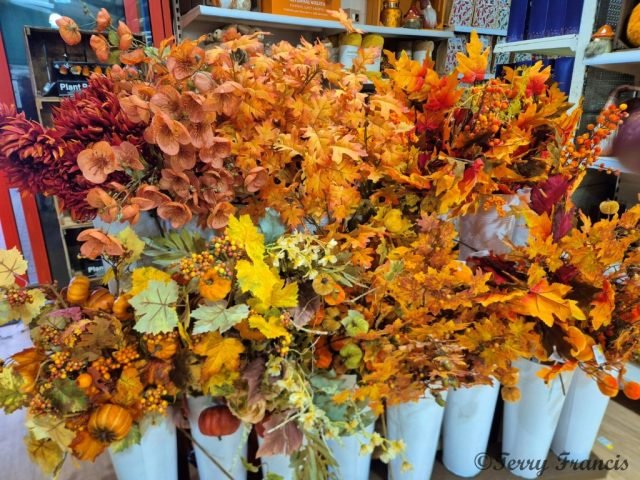 TRF_Autumn Colours (Medium)